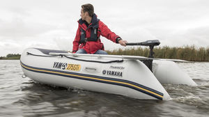 outboard electric motor / permanent magnet