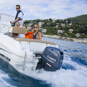 outboard engine / gasoline / direct fuel injection / 4-stroke