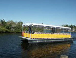 catamaran sightseeing boat / outboard