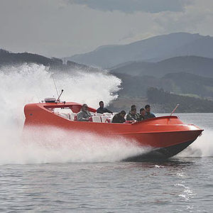 sightseeing boat / inboard waterjet