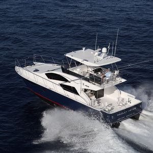 catamaran express cruiser / inboard / flybridge / sport-fishing