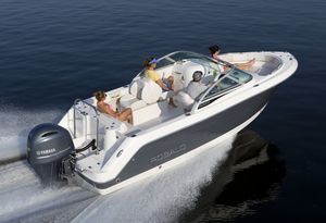 outboard runabout / bow-rider / wakeboard / 10-person max.