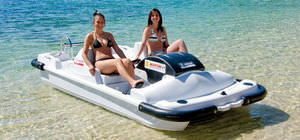 4-seater pedal boat
