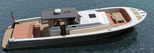 inboard runabout / yacht tender / with T-top