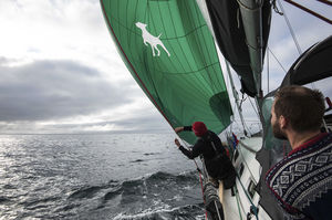 spinnaker / for cruising sailboats / radial cut / Dacron®