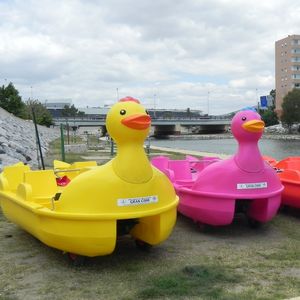 4-seater pedal boat