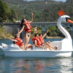 4-seater pedal boat