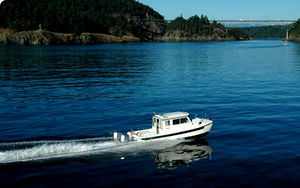 catamaran cruising fishing boat / outboard