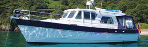inboard express cruiser / diesel / canal / classic
