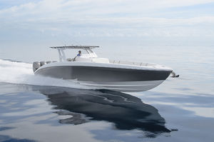 center console monohull boat / outboard / with T-top