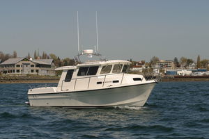 inboard cabin cruiser / hard-top / sport-fishing / 4-berth