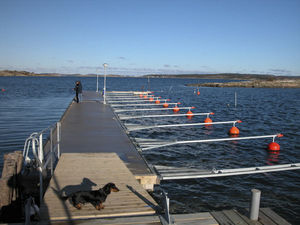 mooring dock / for marinas / concrete