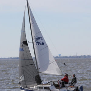 genoa / for one-design sailboats / tri-radial cut