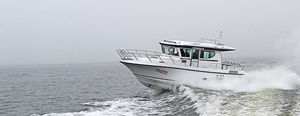 inboard trawler / wheelhouse / 12-person max. / 2-cabin