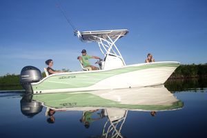 center console monohull boat / sport-fishing / 7-person max. / with T-top