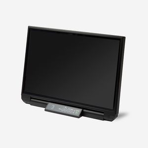 boat display / multi-function / PC / video