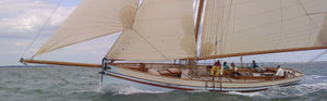 monohull / classic / open transom / gaff-rigged