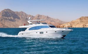 cruising motor yacht / flybridge / displacement hull