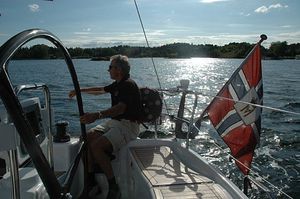 sailboat helm wheel / carbon / racing