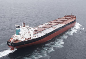 bulk carrier cargo ship / Capesize