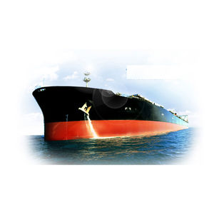 bulk carrier cargo ship