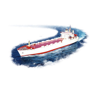 Ro-Ro cargo ship