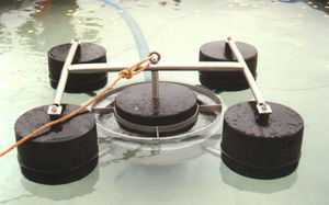 weir oil skimmer
