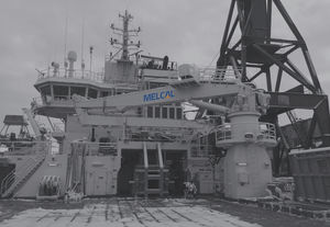 ship crane / articulated / deck