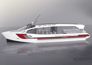 diesel sightseeing boat / aluminum
