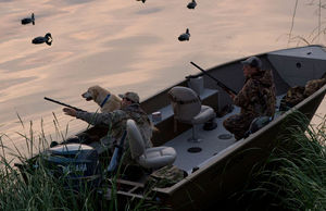 outboard utility boat / aluminum