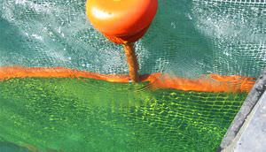 jellyfish-control boom / floating / sheltered waters