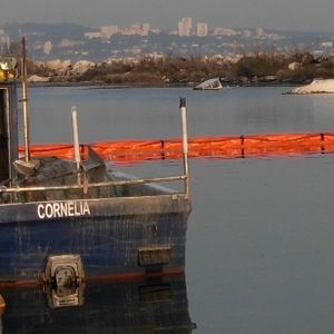 pollution control boom / floating / sheltered waters