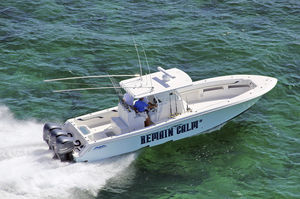 center console monohull boat / outboard / sport-fishing / with T-top