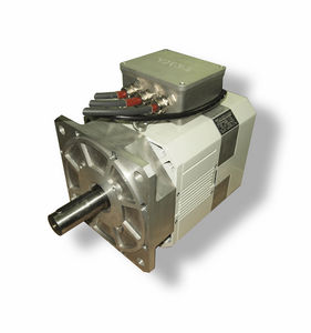 inboard electric motor / synchronous / permanent magnet