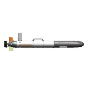 AUV