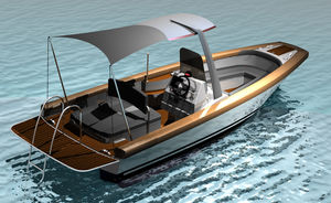 center console monohull boat / yacht tender / with T-top