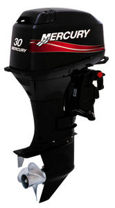 boating engine / outboard / gasoline / 2-stroke