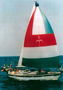 symmetric spinnaker / for cruising sailboats