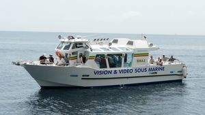 diesel sightseeing boat / inboard