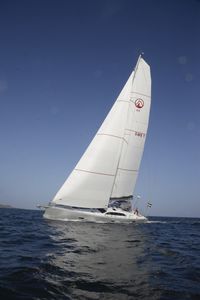 cruising sailing yacht / aluminum / open transom