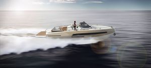 inboard walkaround / center console / 10-person max. / sundeck