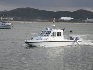 catamaran cabin cruiser / outboard / hard-top / 8-person max.
