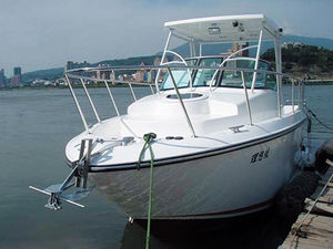 inboard express cruiser / open / 6-person max. / with T-top