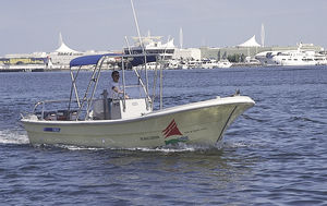 outboard center console boat / twin-engine / open / with T-top