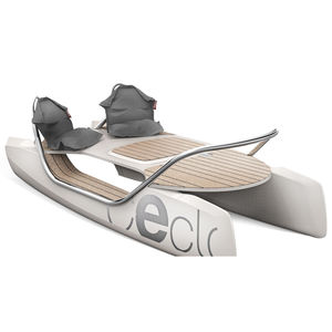 aquatic center boat / catamaran / electric