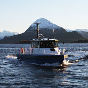 inboard passenger boat / aluminum