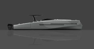 outboard center console boat / hard-top / 12-person max. / with cabin