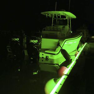 marina fender / dock / RGB LED