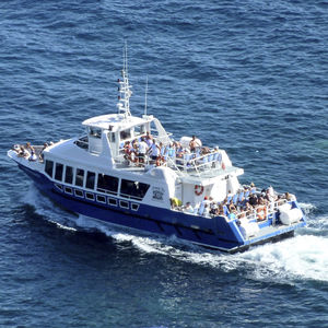 inboard passenger boat / aluminum