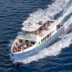 diesel-electric hybrid passenger boat / aluminum